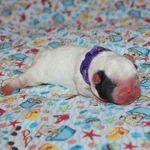 IMG_0671.webp IMG_0671.webp
