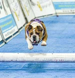 LEXI COURTER (4) - ORIGINAL.webp