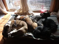 DSCF4060.webp