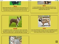 IMG_0922.webp IMG_0922.webp