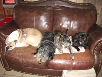 DSCF4045.webp