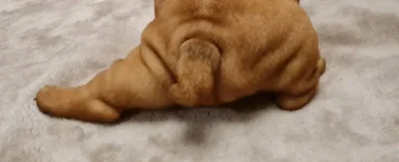 20210308_122003.webp