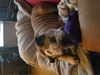 20210107_075942.webp