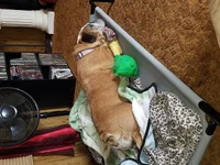 20210308_133240.webp
