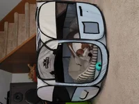20210315_103508.webp