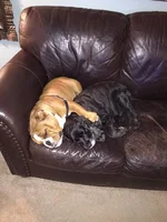 Charlie and Gabe4.webp Charlie and Gabe4.webp