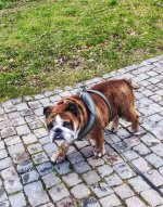 promenad.jpeg promenad.jpeg