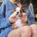 IMG_20210409_111358_109.webp