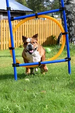 onni onnellinen.webp onni onnellinen.webp