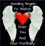 834CEE81-056E-4BFE-AD01-13A3494A62F9.webp