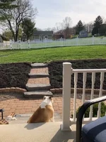 Mulch01.webp