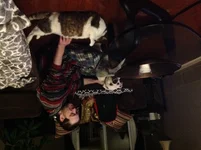 image.webp