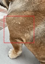 Untitled.webp