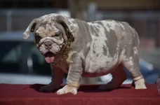 F02F93B8-796B-4634-BD52-943DCA6C12FF.webp