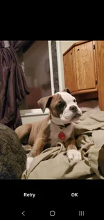 Screenshot_20210604-003925_Camera.webp