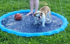 20210609_182555.webp