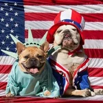 ea4f7b6c31620884152356d09a2fb4a8.webp