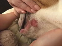 FBFA28D1-72C5-4EF8-8134-D492996A25F6.webp