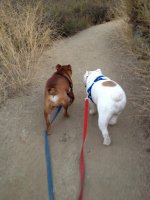 IMG_0328.jpg IMG_0328.jpg