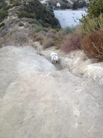 IMG_0337.webp IMG_0337.webp