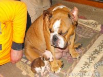 DSCF1078.jpg