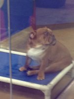 IMG_0465.jpg IMG_0465.jpg