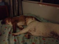 IMG_0412.jpg IMG_0412.jpg