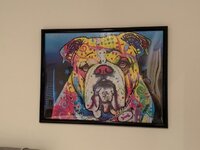 Dean Russo bulldog puzzle.jpg