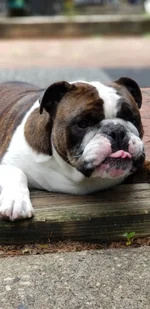 20190707_115727.webp