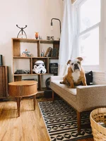 Living Room with Ibsen.webp Living Room with Ibsen.webp