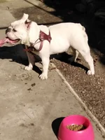 IMG-20210801-WA0017.webp