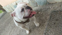 IMG-20210925-WA0008.webp