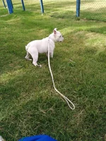 IMG-20210319-WA0004.webp