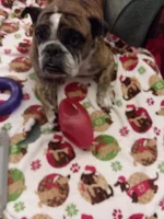 20191215_170142.webp
