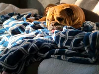 20211024_160616.webp