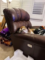 20211210_172506.webp
