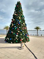 IMG_20201215_083137694_HDR (1).webp