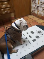 Buster Vat (2).webp