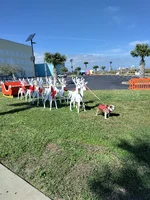 South Padre Island, Texas (48).webp