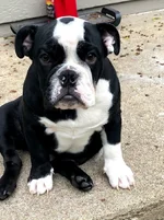 rocco baby 1.webp rocco baby 1.webp