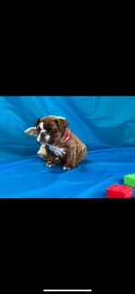46E79130-BB4F-4706-A79E-B0E5054B8F17.webp