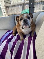 Gabe on patio furniture1.jpg