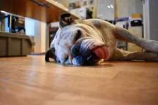 Photo Sep 01, 5 59 34 AM.webp