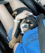 ROAD TRIP CHIEF.jpg