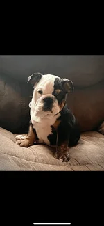 F2E95E7B-EA96-4195-8546-3DAA246F0C1F.webp
