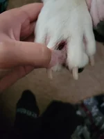 20220604_172419.webp