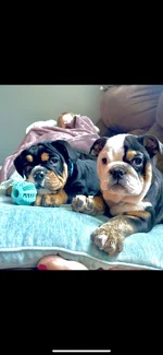 8F81AFF1-3BB7-41EB-A92C-24DF878F6025.webp
