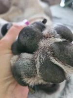 20220709_122232.webp