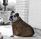 D0849F85-36CE-4A83-B93D-066696D5E17A.webp