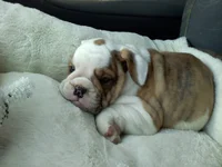 20110402113519.webp